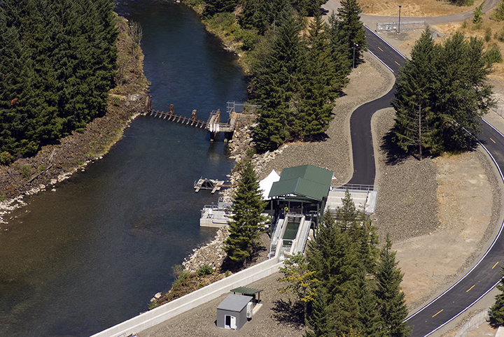 aerial view of the adult fish collection facility