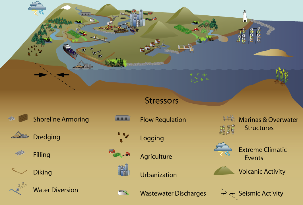 Graphical depiction of ecosystem stressors