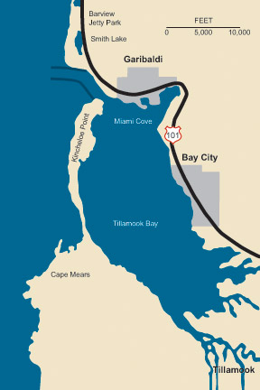 Graphic illustration map of Tillamook Bay