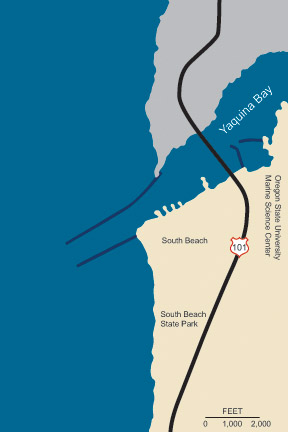 Graphic illustration map of Yaquina Bay