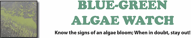 Extract from Corps' blue-green algae poster