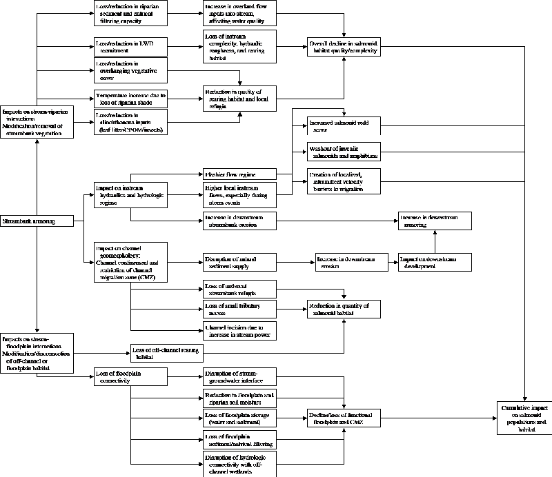 Conceptual model of shoreline armoring effects