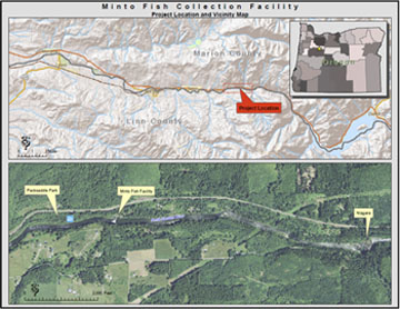 map of Minto Fish Facility and nearby area