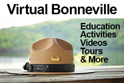 Virtual Bonneville
