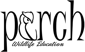Perch Wildlife Logo 